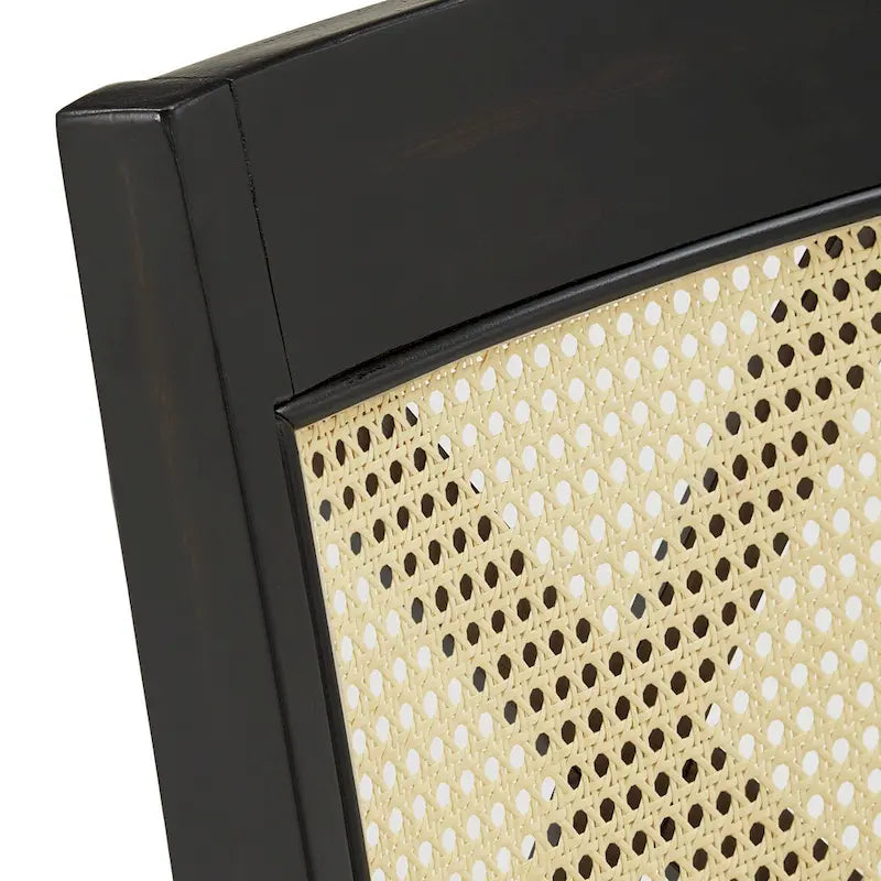 Plaga X-Back Cane Accent Dining Chair (Set of 2) by iNSPIRE Q Classic - Dining Chair-17